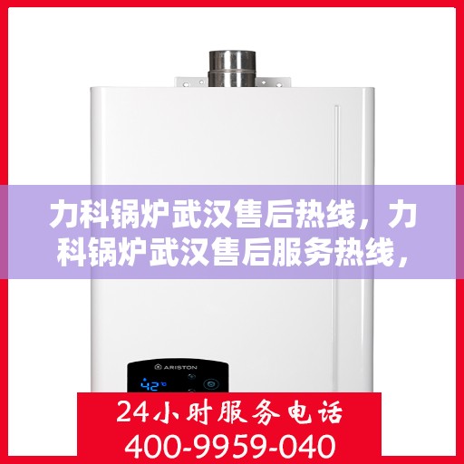 力科锅炉武汉售后热线，力科锅炉武汉售后服务热线，专业解决您的锅炉问题